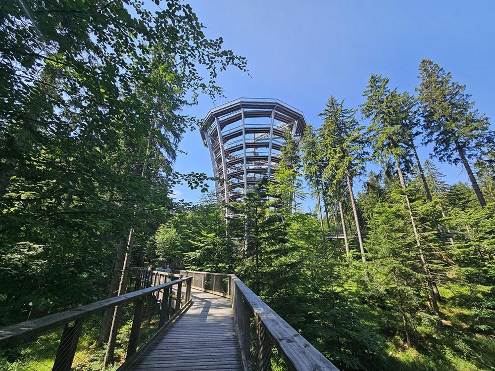 Moderni Apartman Horni Marsov - By Alka Horní Maršov Exterior foto